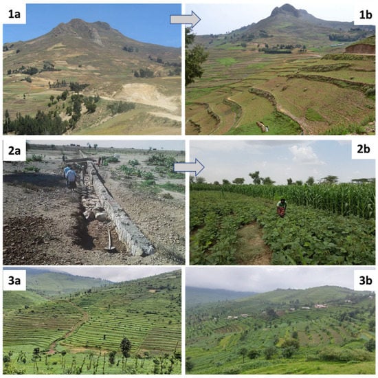 Soil-Improving Cropping Systems for  and … – MDPI